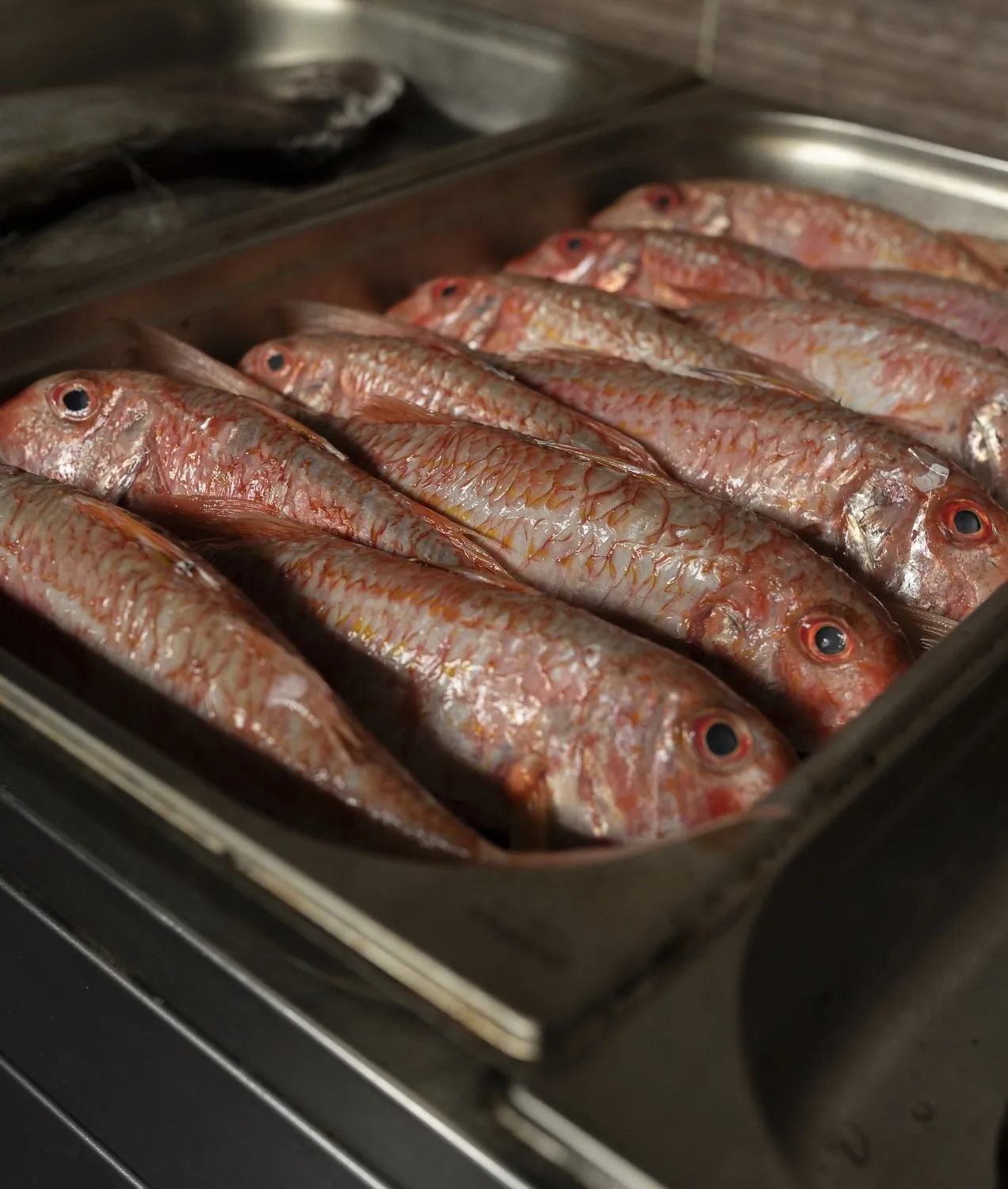 Fresh red mullet in a tray in the kitchen at The Shore, Penzance